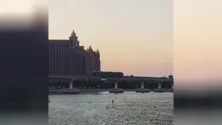 فراوانی ها
