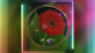 کلیپ استوری مینو