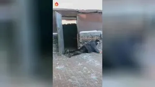 خر سواری 😛🤣🤣