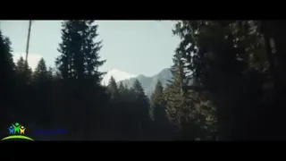 زیبایی زندگی فقط با شکرگذاری تجلی پیدا میکند