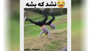 نشد ک بشه