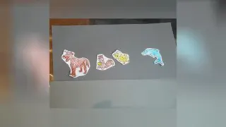آموزش سکه قسمت اول