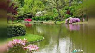 فقط حیدر امیرالمومنین(ع)