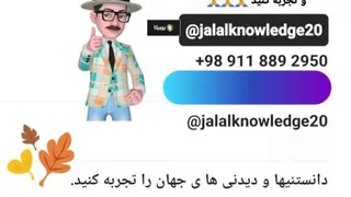 شیر ماهی های اقیانوس آرام