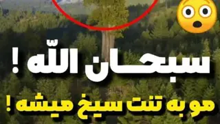 سبحان الله ...