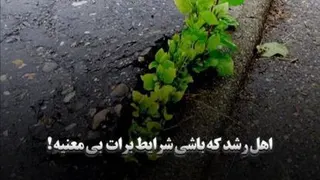 قدرت کلامات 1