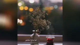 عش ق