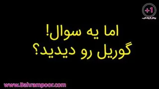 زندگی❤