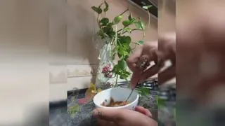 حجیم کردن لب