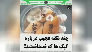 چند نکته ی عجیب در مورد کپک ها که نمی دانستید ؟؟؟؟