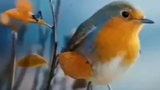 خدایاآرزوهایم را برآورده کن