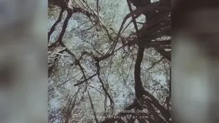 از خداوند کم نخواهیم