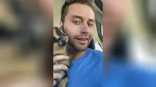 سزای ادا درآوردن بز ها