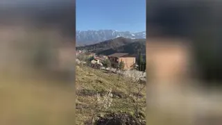 بهار در زمستان