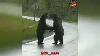 لایک یادت نره