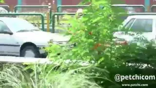 باحال