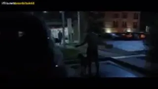 سگ گمشده