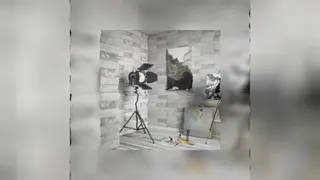 نمایندگی کاشی عقیق در جنوب خراسان رضوی