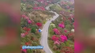 خدا رو شکر می تونم توحال خوب بمونم