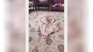وای ترکیدم از خنده🤣🤣🤣🤣