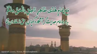 کلیپ تصویری زیارت عاشورا - علی فانی