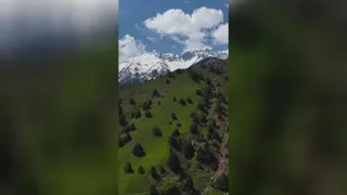 بهار و زمستان در یک قاب