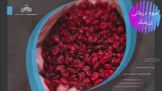 خواص زرشک دانه اناری قسمت 2-یزدان پترگان آریا