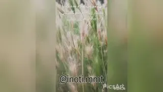 موفقیت