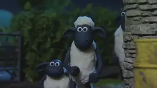 بره ناقلا
