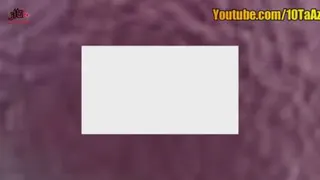 10 واقعیت که فکر میکنید دروغ است. [ pashmam ]