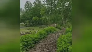 طبیعت