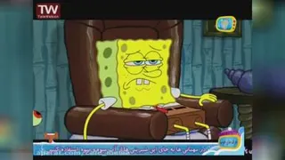 باب اسفنجی