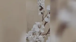 خدای مهربان