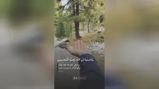 مذهبی