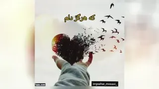 دکلمه#سحرموسوی#حرف_دل#متن_کوتاه#کپشن_خاص#گویندگی#کلیپ_کوتاه#متن_عاشقانه#کلیپ_عاش