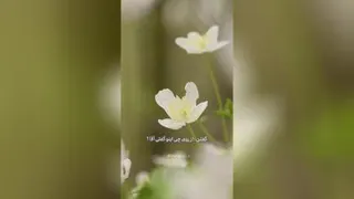 #ظهور