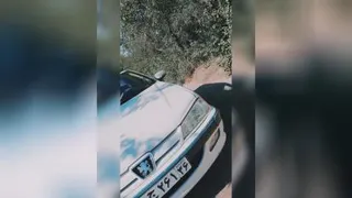 دلبری پژو پارس
