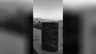 زیبایی
