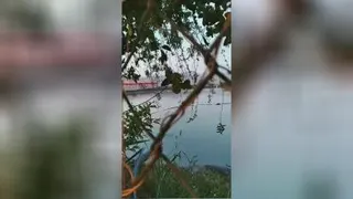 آرامش