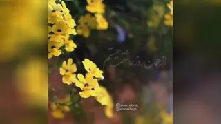 گل سرخی که دادی دستم