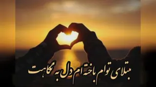 کلیپ ویدیو