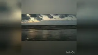 اشعار مولانا