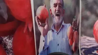 ویدیوی انار