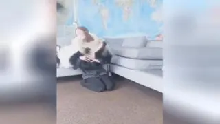 سگه چقد کیوته🙂👻
