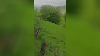 سفر به شمال