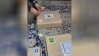 آووکادو