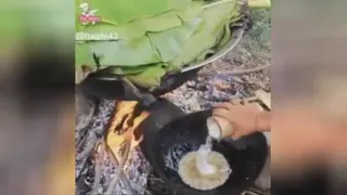 غذای_دریایی