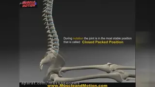 اناتومی بدن