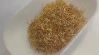 فوایدریشه زعفران