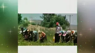 مزایای بیمه روستائیان وعشایر